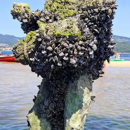 Minso - Alloggio in famiglia Redondela