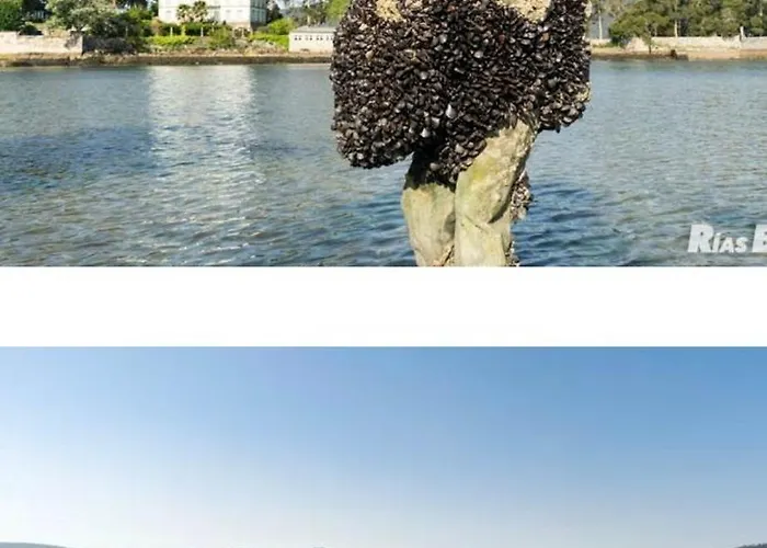 Quarto em Acomodações Particulares Minso -